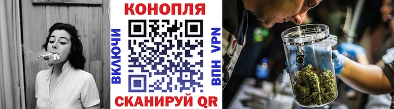 Каннабис сатива  Козловка 